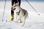 p-f.ch_120212_1043_9030_1D