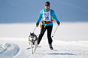 p-f.ch_120212_1046_9043_1D