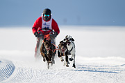 p-f.ch_120212_1101_9075_1D