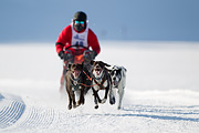 p-f.ch_120212_1101_9077_1D