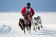p-f.ch_120212_1102_9082_1D