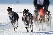 p-f.ch_120212_1103_9100_1D