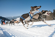 p-f.ch_120212_1104_0884_5D