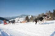 p-f.ch_120212_1105_0885_5D