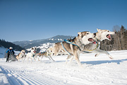 p-f.ch_120212_1106_0886_5D