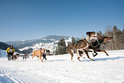 p-f.ch_120212_1107_0887_5D