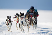 p-f.ch_120212_1107_9157_1D