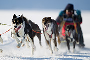 p-f.ch_120212_1107_9162_1D
