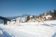 p-f.ch_120212_1109_0889_5D