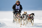 p-f.ch_120212_1110_9200_1D