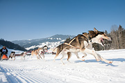 p-f.ch_120212_1111_0891_5D