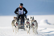 p-f.ch_120212_1111_9204_1D