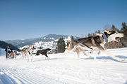 p-f.ch_120212_1112_0892_5D