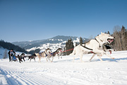 p-f.ch_120212_1113_0893_5D
