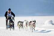 p-f.ch_120212_1113_9212_1D