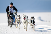 p-f.ch_120212_1113_9221_1D
