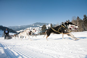 p-f.ch_120212_1114_0894_5D