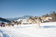 p-f.ch_120212_1115_0895_5D