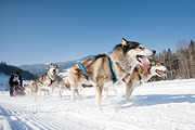 p-f.ch_120212_1117_0896_5D