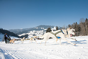 p-f.ch_120212_1120_0897_5D