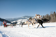p-f.ch_120212_1121_0898_5D