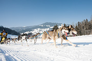 p-f.ch_120212_1123_0899_5D