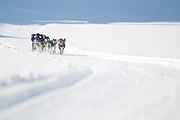 p-f.ch_120212_1124_9340_1D