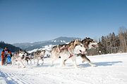 p-f.ch_120212_1125_0900_5D