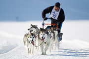 p-f.ch_120212_1125_9383_1D