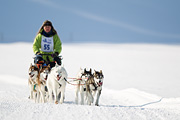 p-f.ch_120212_1130_9396_1D