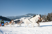 p-f.ch_120212_1131_0902_5D