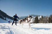 p-f.ch_120212_1135_0906_5D