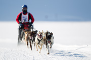 p-f.ch_120212_1141_9440_1D
