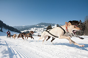 p-f.ch_120212_1142_0907_5D