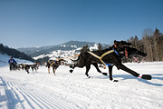 p-f.ch_120212_1144_0908_5D
