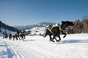 p-f.ch_120212_1146_0909_5D