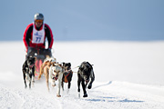 p-f.ch_120212_1148_9510_1D