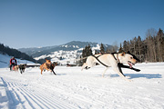 p-f.ch_120212_1149_0910_5D