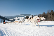 p-f.ch_120212_1151_0911_5D