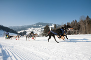 p-f.ch_120212_1153_0912_5D
