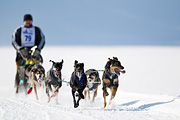 p-f.ch_120212_1153_9555_1D