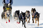p-f.ch_120212_1153_9564_1D