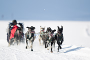 p-f.ch_120212_1155_9574_1D