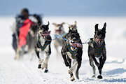 p-f.ch_120212_1155_9589_1D