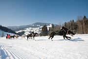 p-f.ch_120212_1156_0913_5D