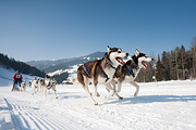 p-f.ch_120212_1159_0914_5D