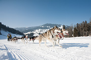 p-f.ch_120212_1201_0915_5D