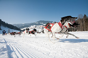 p-f.ch_120212_1207_0916_5D