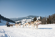 p-f.ch_120212_1208_0917_5D