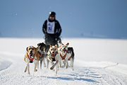 p-f.ch_120212_1209_9655_1D